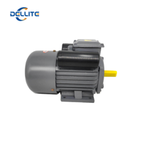 Moteur asynchrone monophasé antidéflagrant Dellette 220V 2.2KW à vitesse variable pour grue, à haut couple, économe en énergie, IE3