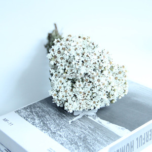 Flores Secas Más Vendidas al Por Mayor, Flores Blancas Pequeñas, Margaritas Blancas, Ciruelas Blancas para Decoración <span class=keywords><strong>de</strong></span> Bodas y Fiestas - Product Image 4