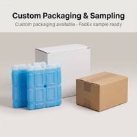 Blocs de glace en gel bleu en plastique pour congélateur, briques de glace pour aliments congelés