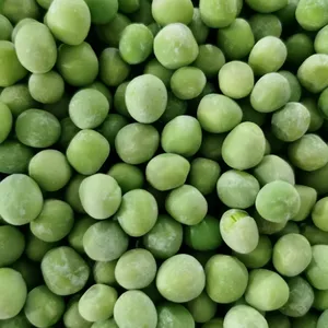 고품질 중국 녹색 완두콩 냉동 스냅 완두콩 수평 냉동 녹색 완두콩 가공 공장