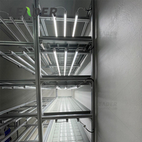 Agriculture hydroponique d'intérieur multicouche 2x4ft Ebb Flood Greenhouse Banc roulant mobile Support de culture vertical en aluminium avec lumière LED