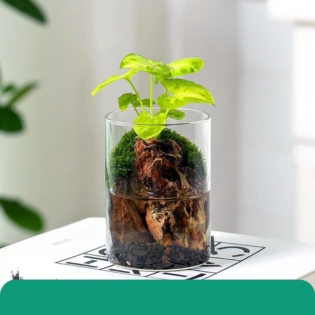 hang plant hook Wooden plant hanger