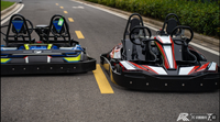 Kart à pédales tout-terrain à essence pour adultes, deux places, moteur GX160/GX200/GX270, 200cc, vitesse maximale 60 km/h, transmission par chaîne