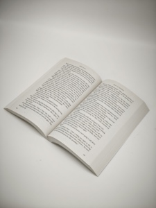 Livre romanesque de Theo de Golden Book Printing - Product Image 5