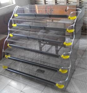 Bebedero automático amarillo de codorniz <span class=keywords><strong>para</strong></span> jaula de codorniz <span class=keywords><strong>para</strong></span> uso doméstico agrícola y venta al por menor Material PP duradero Nuevo - Product Image 6