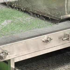 Machine à fabriquer des billes de jus aux saveurs de fruits colorées, machine à fabriquer des perles de boba éclatantes, machine à remplir des billes de jus, gelée de <span class=keywords><strong>konnyaku</strong></span> - Product Image 6