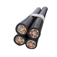CU PVC YVV-R YJV NYY NYY-J 4 x16mm2 4 x25mm2 4 x35mm2 4 x50mm2 0,6/1kV Eca Schwarzes Niederspannung kabel