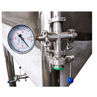 Fermenteur conique en acier inoxydable de 200 L, à double enveloppe glycolée, avec trappe supérieure et latérale pour la fabrication de spiritueux