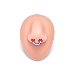 Pendientes <span class=keywords><strong>de</strong></span> <span class=keywords><strong>Titanio</strong></span> G23 16G con Segmento Clicker para <span class=keywords><strong>Piercing</strong></span> <span class=keywords><strong>de</strong></span> Nariz, Anillos Anodizados <span class=keywords><strong>de</strong></span> Colores, 8mm 10mm, Joyería para Piercings Corporales y <span class=keywords><strong>de</strong></span> Oreja - Product Image 3