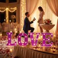 Décorations de mariage : Lumières LED colorées violettes en forme de lettres, en plastique, pour fêtes d'anniversaire, demandes en mariage et événements décoratifs