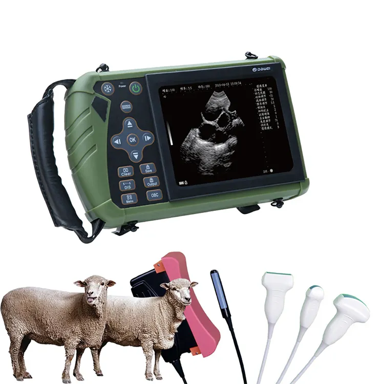 Compleet In Specificaties Cavitatie Machine Dierenarts Scanner Draagbare Echografie