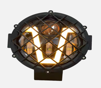Lumière LED