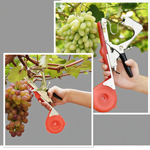 Vente en gros de pinces de reliure pour plantes de jardin Outils de reliure pour branches de <span class=keywords><strong>tomate</strong></span> et de vigne Outils de reliure et de liage <span class=keywords><strong>à</strong></span> la main pour plantes - Product Image 5