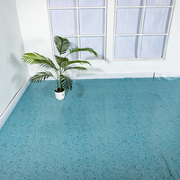 Revêtement de sol en mousse PVC écologique non toxique, rouleau de sol en plastique résistant à l'huile pour salon et bureau
