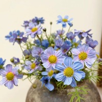 Fleurs artificielles Cosmos à tige courte de style nordique, décoration intérieure, salon, table à manger, table basse, arrangement floral
