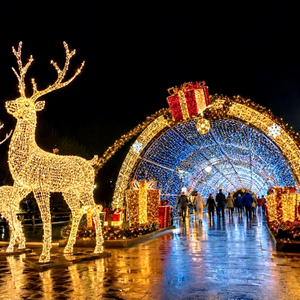 Outdoor Waterproof 3D Christmas Arch Tunnel LED Motif <b>Light</b> For Commercial Display - Product Image 1