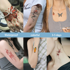 Pegatinas De Tatuajes Temporales coloridas, que incluyen varios patrones de dibujos animados, pegatinas de tatuajes impermeables, adecuadas para brazos y cuerpo - Product Image 3