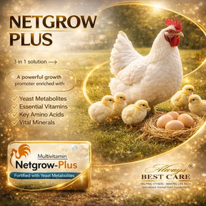 Suplemento Líquido Oral Multivitamínico de Alta Calidad para Aves de Corral, para Pollos de Engorde, Gallinas Ponedoras y Aves de Granja, para el Manejo Diario de la Alimentación - Product Image 3