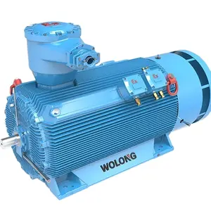 Y3 Hoogspanning Eekhoorn-Kooi Rotor Motor 3.3kv ~ 13.8kv 315 ~ 560 50Hz/60Hz 185kw ~ 2000kw Cne Merk Gemaakt In China Ie4 Efficiëntie