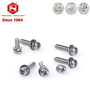 Premium Stainless Steel Cross <b>Small</b> Pan Head <b>Screw</b> Assembled Spring & Plain Washers - Product Image 1