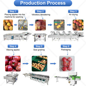 Laveuse-sécheuse de fruits et légumes HNOC pour myrtilles, légumes-feuilles et laitues – Machine de nettoyage et de séchage - Product Image 3