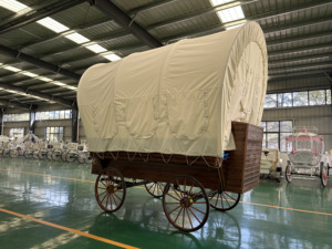 Voiture électrique classique en bois, chariot de tourisme à énergie nouvelle, moteur 3/5 KW - Product Image 5
