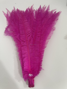Plumas de Avestruz <span class=keywords><strong>Nandu</strong></span> al por Mayor, Plumas de Avestruz Moradas, Rosas, Blancas, Amarillas y Negras, Plumas de Avestruz Grandes para Vestidos al por Mayor - Product Image 6