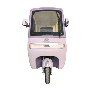 Juejue Purple HQ-Lushang Mini Tricycle Fermé pour Enfants - Courses et Petits Trajets, Autonomie 30 km, Vitesse 30 km/h, Idéal pour la Ville - Product Image 5