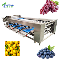 Shepody kleine fruit sorteermachine voor kersen, avocado's, meerdere soorten kersen en citroenen, met CE-certificering