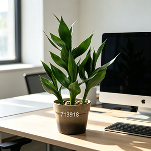 Planta Artificial de Bambú de la Suerte en Maceta de Plástico Mate Degradado de 45 cm, Decoración de Mesa Feng Shui para Oficina y Sala de Estar - Product Image 1