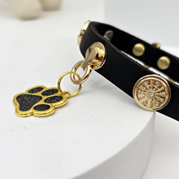 Designer-Hundehalsband aus genietetem Leder, personalisiert, grün, schwarz, rot, aus Rindsleder, mit glitzerndem Pfotenanhänger für Welpen