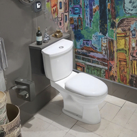 Ensemble de sanitaires en céramique pour toilettes et lavabos, comprenant WC, lavabo sur pied, évier et siphon en P, style occidental, vente en gros à prix compétitif