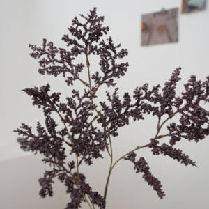 雪の恋人の植物の脱色の植物の束 - Product Image 6