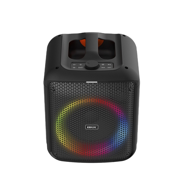 Top Sell Outdoor Indoor Party Karaoke Speaker Big Portable 5.0 Wireless RGB 7.4V/4000mAh FM Radio Battery-Powered Speaker (B97