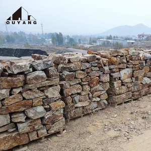 Quyang ngoài trời nhà trang trí đá tự nhiên ốp tường đá tự nhiên đầy màu sắc - Product Image 5