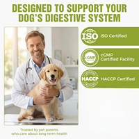Pevet GMP Factory OEM&ODM Protection fonctionnelle personnalisée du tractus digestif Réduction des allergies alimentaires Bien-être intestinal quotidien pour animaux de compagnie