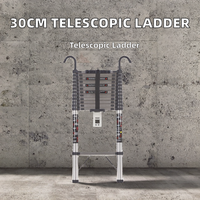 Échelle télescopique simple QAOSEN en acier inoxydable, 7-15 marches, hauteur extensible 2-4,4 m, coussin antidérapant, certifiée EN131, pour extérieur