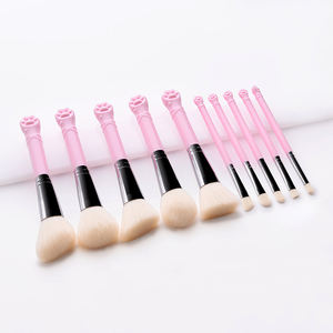 Nouvel arrivage de pinceaux de maquillage professionnels en nylon mignon chat Concept 10 pièces pinceaux en plastique rose pour correcteur beauté de la femme - Product Image 2