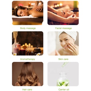 Bán buôn nhãn hiệu riêng mặt chăm sóc da cây trà dầu 100% tinh khiết tự nhiên cho mụn trứng cá tại chỗ - Product Image 5