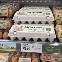 Barquettes à œufs en carton moulé en pâte à papier biodégradable et compostable personnalisées