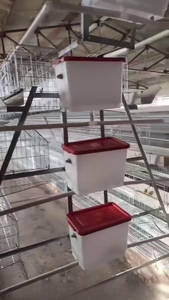 Thiết Kế Mới Thép Một Loại Tự Động Gà Lớp Lồng Cho Gia Cầm Chim Cho Gia Cầm Gà Lớp Tại Trung Quốc - Product Image 2