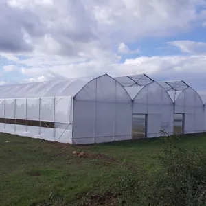 Multi-Span grande estufa agrícola filme plástico com sistema hidropônico