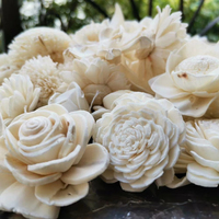 Fleurs séchées naturelles artisanales en gros pour la décoration intérieure, fleurs en bois Sola en vrac, diffuseur de parfum en fleurs Sola avec bâtonnets ou mèche en coton
