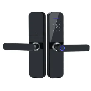 TTlock Wifi التحكم عن بعد قفل ذكي M1 المنزل باب أمان الوصول التحكم مكافحة سرقة قفل البيومترية قفل ببصمة الأصبع