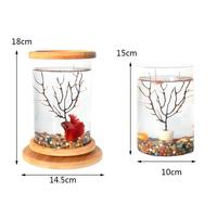 Bouteille en verre écologique sans plomb, mini base rotative, décoration pour aquariums, accessoires pour aquariums, compatible avec la pompe à air pour aquarium, disponible 24h/24 et 7j/7