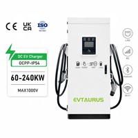 Cargador Rápido para Vehículos Eléctricos de Corriente Continua de 90KW, 120KW, 160KW, Doble Conector, Montaje en Suelo, Protección Completa IP54 para Exteriores, Nivel 3 EVSE para Estaciones de Carga Públicas