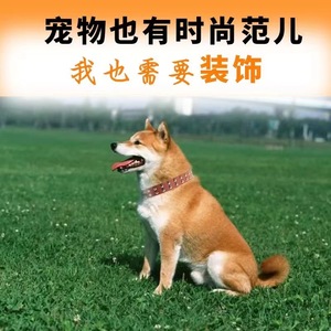 Casual Aluminum <span class=keywords><strong>Dog</strong></span> <span class=keywords><strong>Collars</strong></span> Anti-Bite Chain Belts Fabricant-Cordes de rétrotraction fournies Laisses de baseball pour animaux de compagnie-Vente en gros - Product Image 2