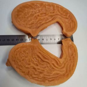 KyrenMed 3D modèle d'anastomose gastrique humaine modèle d'entraînement de l'estomac bivalve silicone grandeur nature pour la pratique de la chirurgie générale - Product Image 4