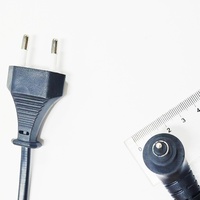 Cordon d'alimentation pivotant à 360 degrés pour fer à lisser, prise Euro à 2 broches, cordon d'alimentation pour fer à lisser