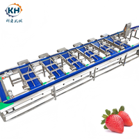 Multi-level gewichtsclassificatiemachine voor het sorteren van fruit en groenten, hoge efficiëntie, op maat gemaakt, 3-18 sorteerstanden